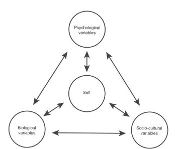 MediaObjects/12485_2009_Article_BF03062045_Fig1_HTML.jpg