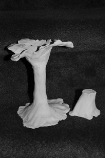 MediaObjects/12485_2011_3_Fig1_HTML.jpg