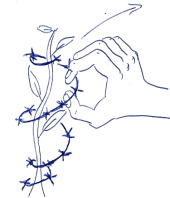 MediaObjects/12485_2017_192_Fig4_HTML.gif